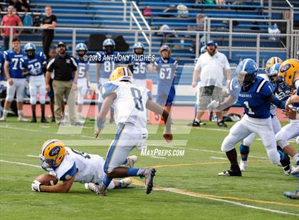 Thumbnail 3 in East Meadow @ Long Beach photogallery.