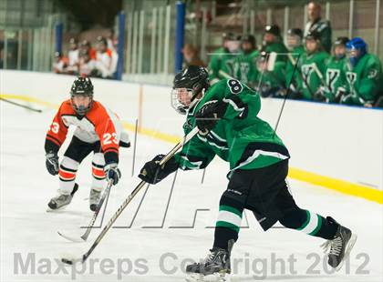 Thumbnail 3 in Yorktown @ Pawling photogallery.