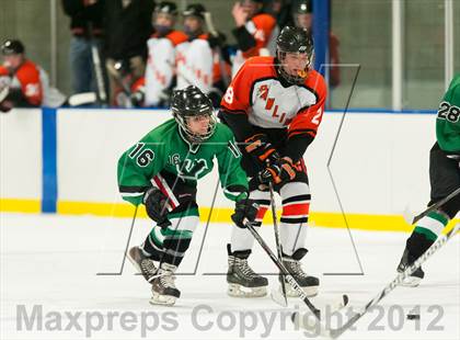 Thumbnail 3 in Yorktown @ Pawling photogallery.