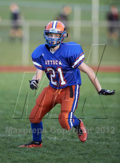 Thumbnail 1 in Batavia @ Attica photogallery.