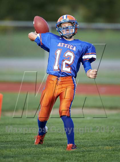 Thumbnail 3 in Batavia @ Attica photogallery.