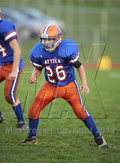 Thumbnail 2 in Batavia @ Attica photogallery.