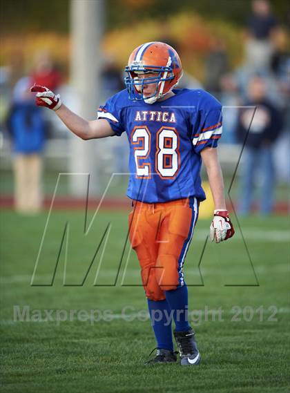Thumbnail 2 in Batavia @ Attica photogallery.