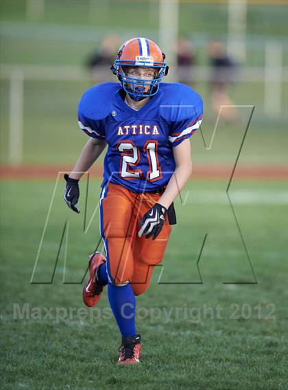 Thumbnail 2 in Batavia @ Attica photogallery.