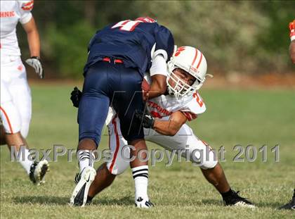 Thumbnail 2 in Poly @ Marshall photogallery.
