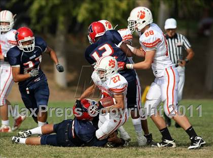 Thumbnail 3 in Poly @ Marshall photogallery.