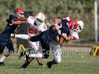 Thumbnail 1 in Poly @ Marshall photogallery.