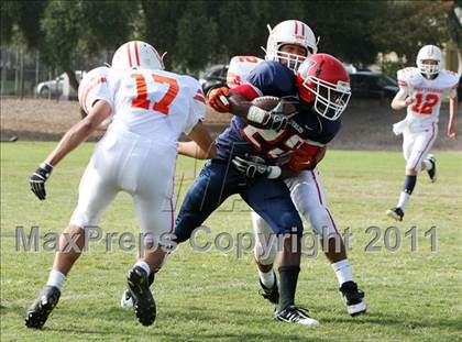 Thumbnail 3 in Poly @ Marshall photogallery.
