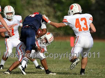 Thumbnail 3 in Poly @ Marshall photogallery.