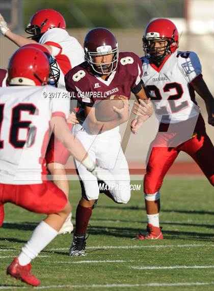 Thumbnail 2 in Desert Mountain vs. Chaparral photogallery.