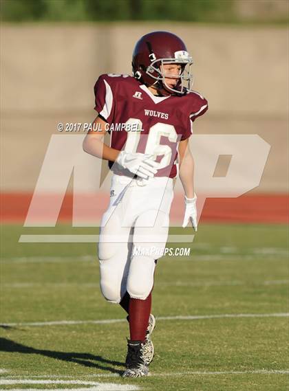 Thumbnail 2 in Desert Mountain vs. Chaparral photogallery.
