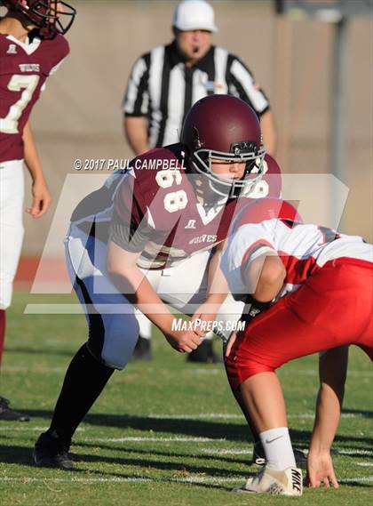 Thumbnail 3 in Desert Mountain vs. Chaparral photogallery.