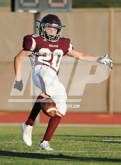 Thumbnail 2 in Desert Mountain vs. Chaparral photogallery.