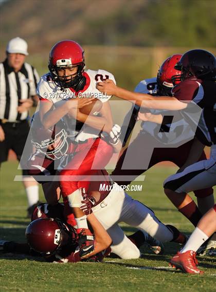 Thumbnail 1 in Desert Mountain vs. Chaparral photogallery.
