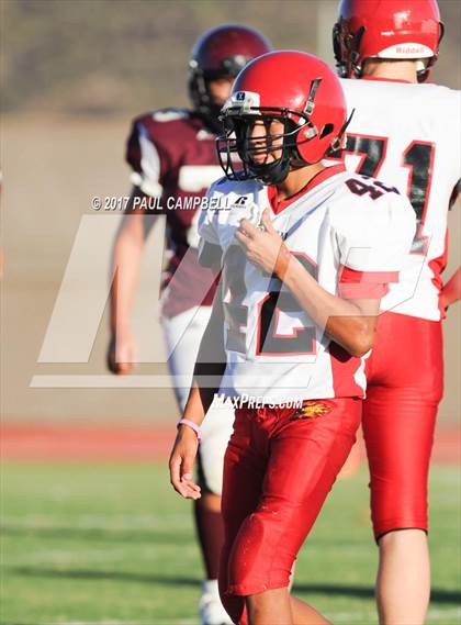 Thumbnail 3 in Desert Mountain vs. Chaparral photogallery.