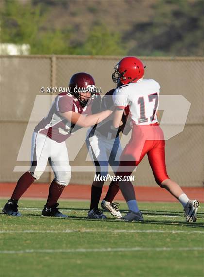 Thumbnail 1 in Desert Mountain vs. Chaparral photogallery.