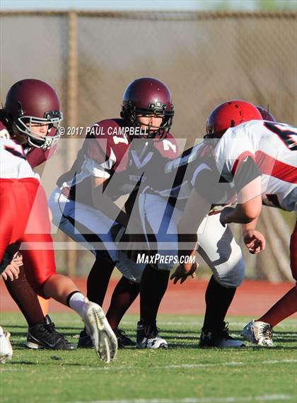 Thumbnail 3 in Desert Mountain vs. Chaparral photogallery.