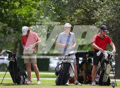 Thumbnail 1 in UIL 5A Golf Finals photogallery.