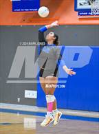 Photo from the gallery "Paradise Honors @ Thunderbird"