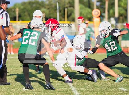Thumbnail 1 in Manatee @ Lakewood Ranch photogallery.