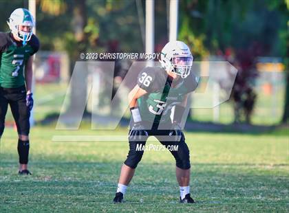 Thumbnail 1 in Manatee @ Lakewood Ranch photogallery.