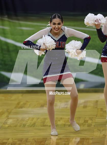 Thumbnail 3 in Dakota Ridge CHSAA Spirit Poms photogallery.