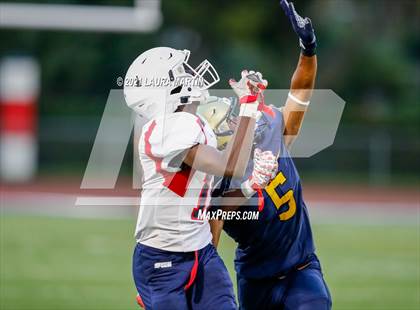 Thumbnail 3 in St. Thomas Aquinas @ Chaminade-Madonna photogallery.