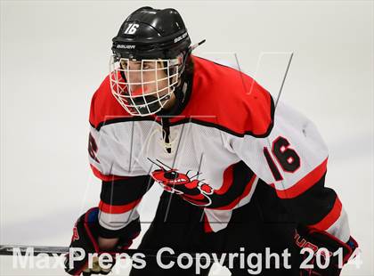 Thumbnail 1 in Glastonbury @ Branford photogallery.