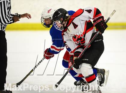 Thumbnail 3 in Glastonbury @ Branford photogallery.