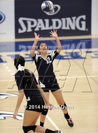 Thumbnail 1 in Duarte @ Cate (CIF-SS D4A Final) photogallery.