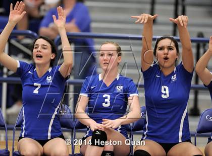Thumbnail 1 in Duarte @ Cate (CIF-SS D4A Final) photogallery.