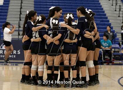 Thumbnail 1 in Duarte @ Cate (CIF-SS D4A Final) photogallery.