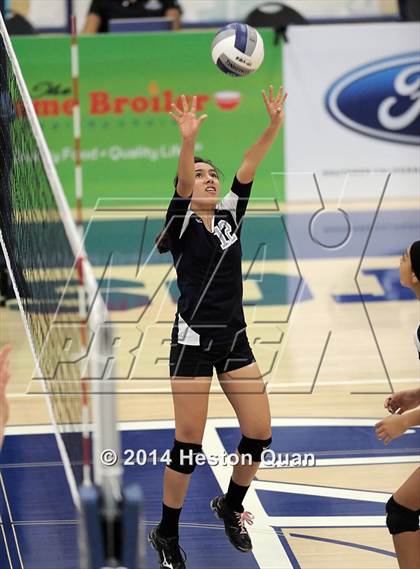 Thumbnail 1 in Duarte @ Cate (CIF-SS D4A Final) photogallery.