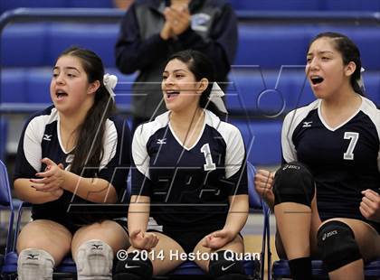 Thumbnail 1 in Duarte @ Cate (CIF-SS D4A Final) photogallery.