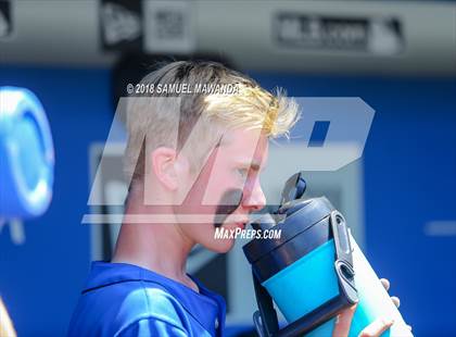 Thumbnail 2 in El Camino Real vs Birmingham (CIF LACS Open Division Final) photogallery.
