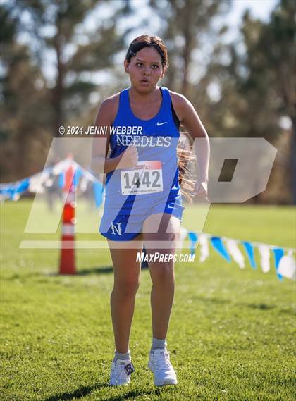 Thumbnail 1 in NIAA 2A  Southern Regionals photogallery.