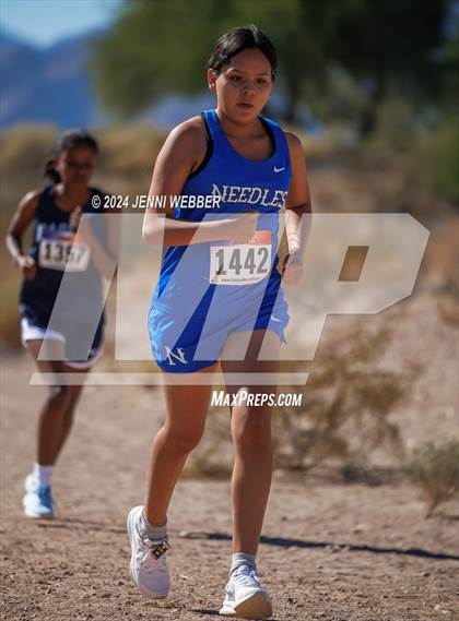 Thumbnail 2 in NIAA 2A  Southern Regionals photogallery.
