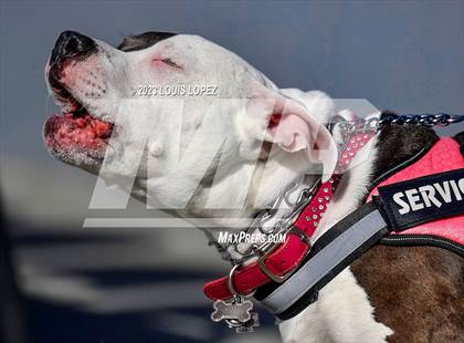Thumbnail 2 in Foothill vs. Orange Lutheran (CIF SS Open DIV Championship) photogallery.