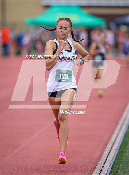 Thumbnail 2 in Brother Borgia Meet (800 Meter) photogallery.