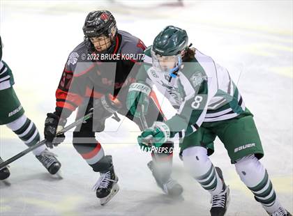 Thumbnail 2 in Livingston vs West Essex photogallery.
