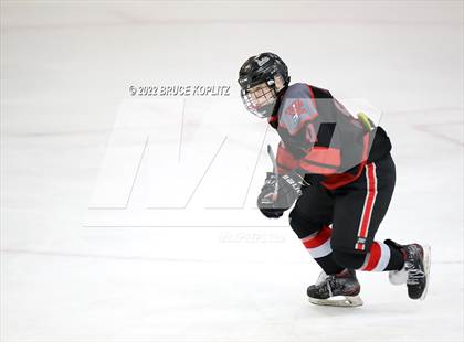 Thumbnail 1 in Livingston vs West Essex photogallery.
