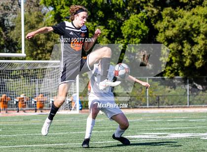 Thumbnail 2 in Palo Alto @ Los Gatos photogallery.