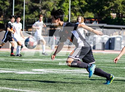 Thumbnail 3 in Palo Alto @ Los Gatos photogallery.