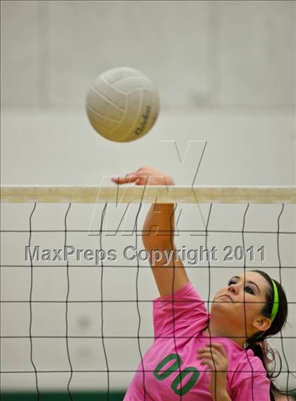 Thumbnail 3 in Springfield @ Sheldon photogallery.