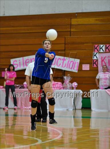null - Photo 21