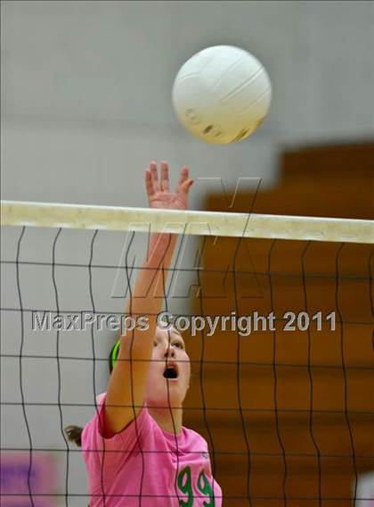 Thumbnail 1 in Springfield @ Sheldon photogallery.