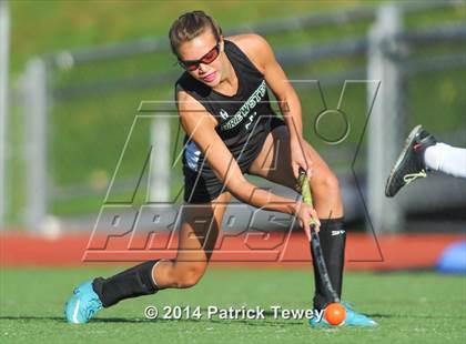 Thumbnail 3 in Brewster @ Panas photogallery.
