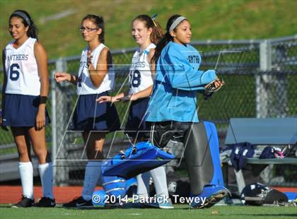 Thumbnail 1 in Brewster @ Panas photogallery.