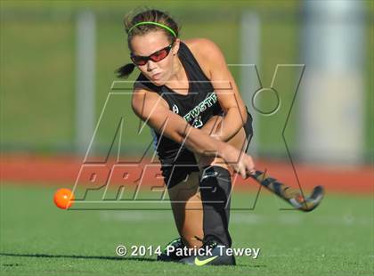Thumbnail 1 in Brewster @ Panas photogallery.