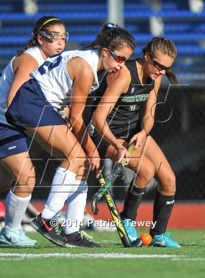 Thumbnail 1 in Brewster @ Panas photogallery.